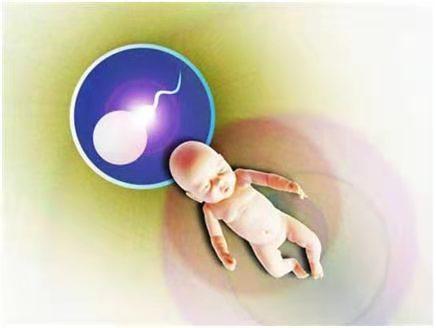 关于暖阳生殖